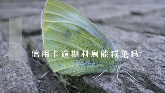信用卡逾期利息能减免吗 信用卡逾期利息能减免吗