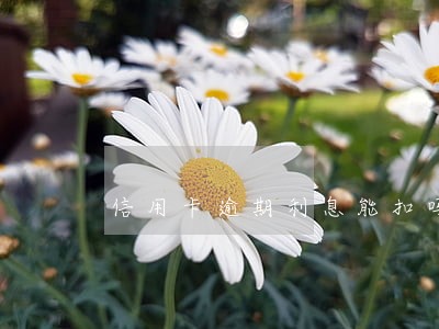 信用卡逾期利息能扣吗 信用卡逾期利息能扣吗
