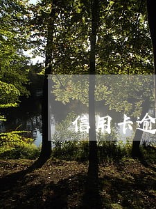 信用卡逾期利息能要回来吗 信用卡逾期利息能要回来吗