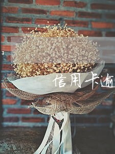 信用卡逾期利息能超过本金么 信用卡逾期利息能超过本金么