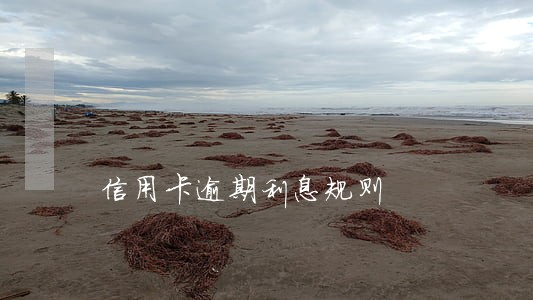 信用卡逾期利息规则 信用卡逾期利息规则