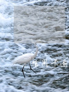 信用卡逾期利息计算开始日 信用卡逾期利息计算开始日