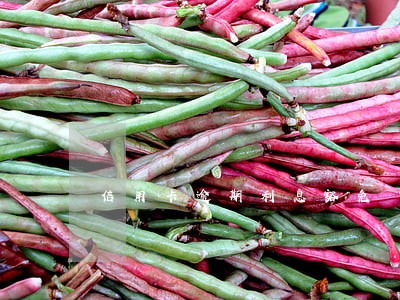 信用卡逾期利息豁免 信用卡逾期利息豁免