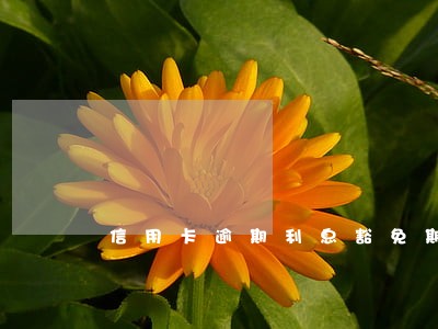 信用卡逾期利息豁免期