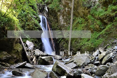 信用卡逾期利息超过国家规定吗 信用卡逾期利息超过国家规定吗