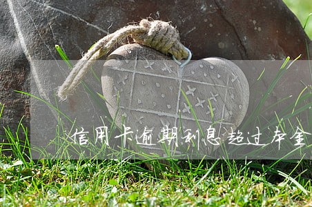 信用卡逾期利息超过本金6 信用卡逾期利息超过本金6