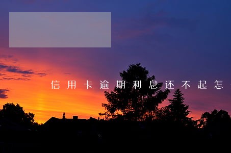 信用卡逾期利息还不起怎么办 信用卡逾期利息还不起怎么办