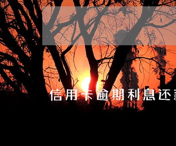 信用卡逾期利息还款一部份 信用卡逾期利息还款一部份