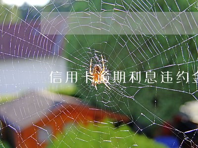 信用卡逾期利息违约金合法吗