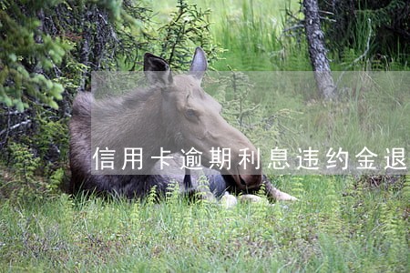信用卡逾期利息违约金退回 信用卡逾期利息违约金退回