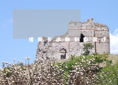 信用卡逾期利息退还