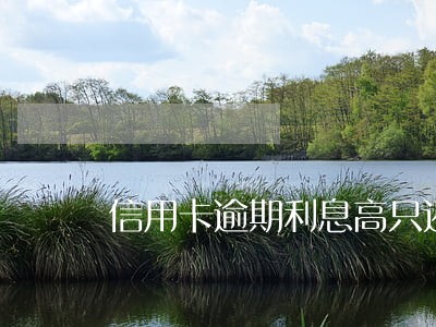 信用卡逾期利息高只还本金行不行