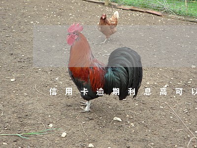 信用卡逾期利息高可以协商吗