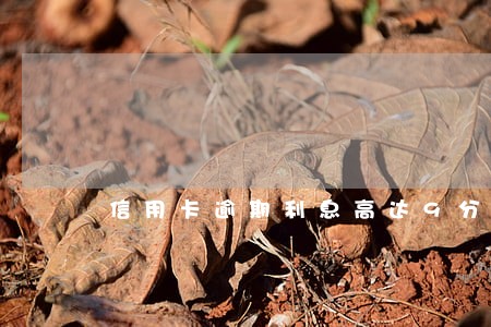 信用卡逾期利息高达9分