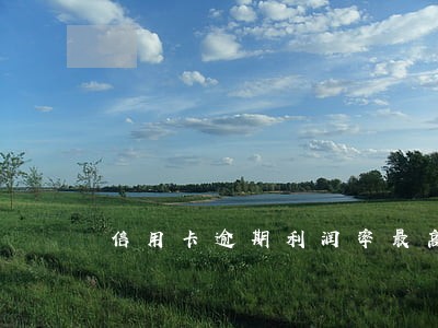 信用卡逾期利润率最高多少 信用卡逾期利润率最高多少