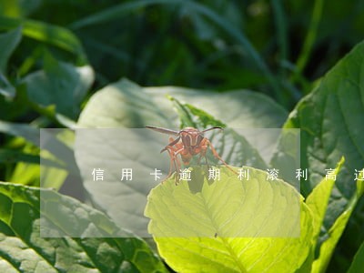 信用卡逾期利滚利高过本金 信用卡逾期利滚利高过本金