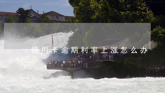 信用卡逾期利率上涨怎么办 信用卡逾期利率上涨怎么办