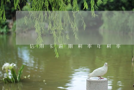 信用卡逾期利率年利率 信用卡逾期利率年利率