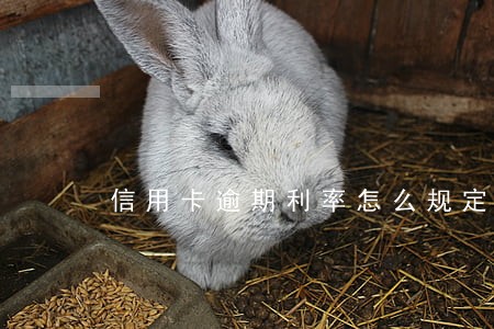 信用卡逾期利率怎么规定的 信用卡逾期利率怎么规定的
