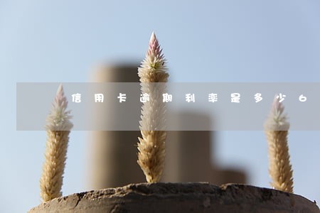 信用卡逾期利率是多少6