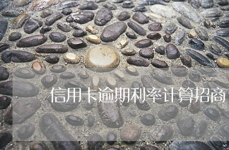 信用卡逾期利率计算招商 信用卡逾期利率计算招商