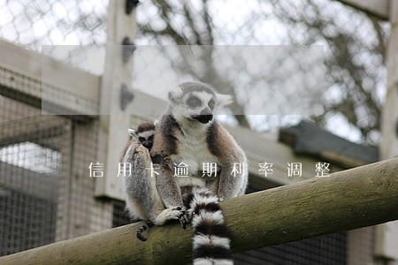 信用卡逾期利率调整