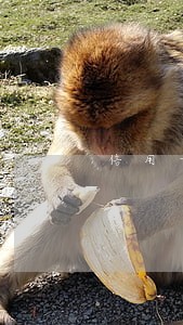信用卡逾期利率高吗 信用卡逾期利率高吗