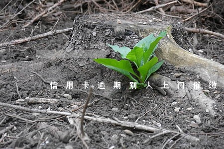 信用卡逾期别人上门催缴