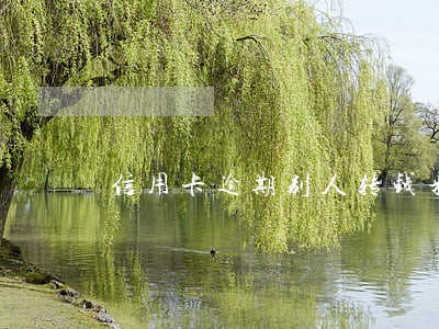 信用卡逾期别人转钱来会给划走吗 信用卡逾期别人转钱来会给划走吗