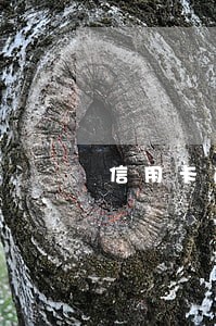 信用卡逾期别害怕 信用卡逾期别害怕