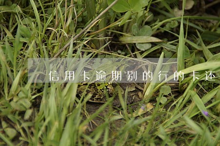信用卡逾期别的行的卡还能用吗 信用卡逾期别的行的卡还能用吗