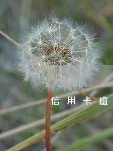 信用卡逾期别的银行卡也被冻结 信用卡逾期别的银行卡也被冻结