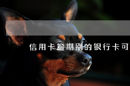 信用卡逾期别的银行卡可以用吗