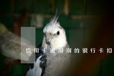 信用卡逾期别的银行卡扣钱吗