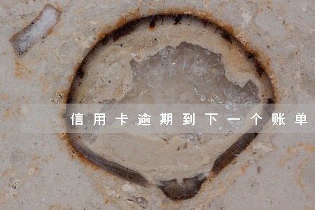 信用卡逾期到下一个账单日 信用卡逾期到下一个账单日