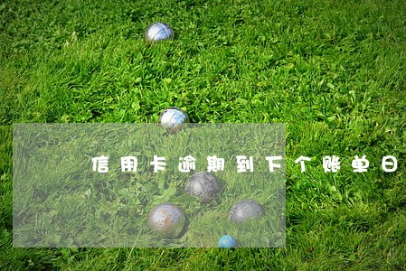 信用卡逾期到下个账单日怎么办