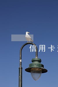 信用卡逾期到了下个账单日