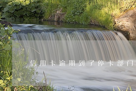 信用卡逾期到了停卡部门