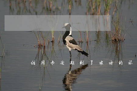 信用卡逾期到了家访的环节怎么办