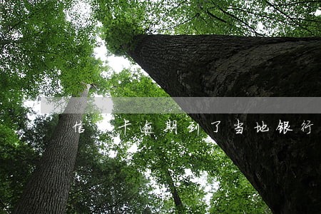 信用卡逾期到了当地银行 信用卡逾期到了当地银行