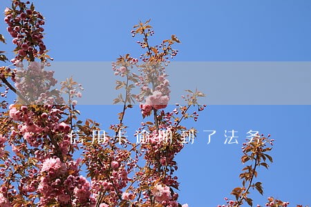 信用卡逾期到了法务 信用卡逾期到了法务