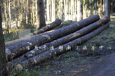 信用卡逾期到了法务中心 信用卡逾期到了法务中心