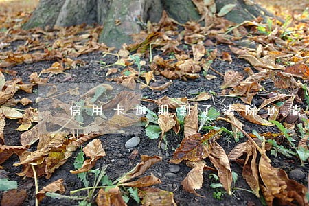 信用卡逾期到了法院还能协商么 信用卡逾期到了法院还能协商么