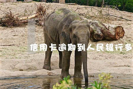 信用卡逾期到人民银行多久审批 信用卡逾期到人民银行多久审批