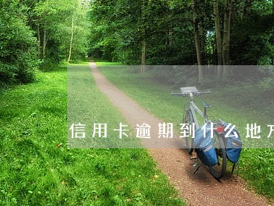 信用卡逾期到什么地方会做牢 信用卡逾期到什么地方会做牢