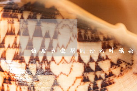 信用卡逾期到什么时候会上征信 信用卡逾期到什么时候会上征信
