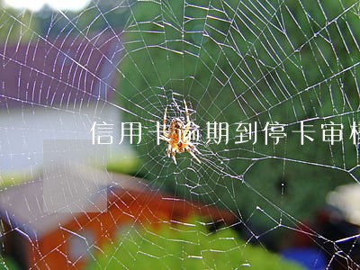 信用卡逾期到停卡审核部