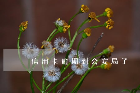 信用卡逾期到公安局了