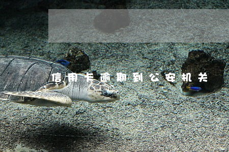 信用卡逾期到公安机关 信用卡逾期到公安机关