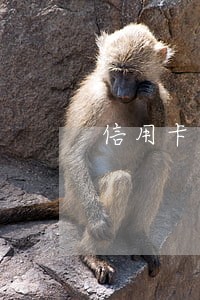 信用卡逾期到单位怎么办 信用卡逾期到单位怎么办